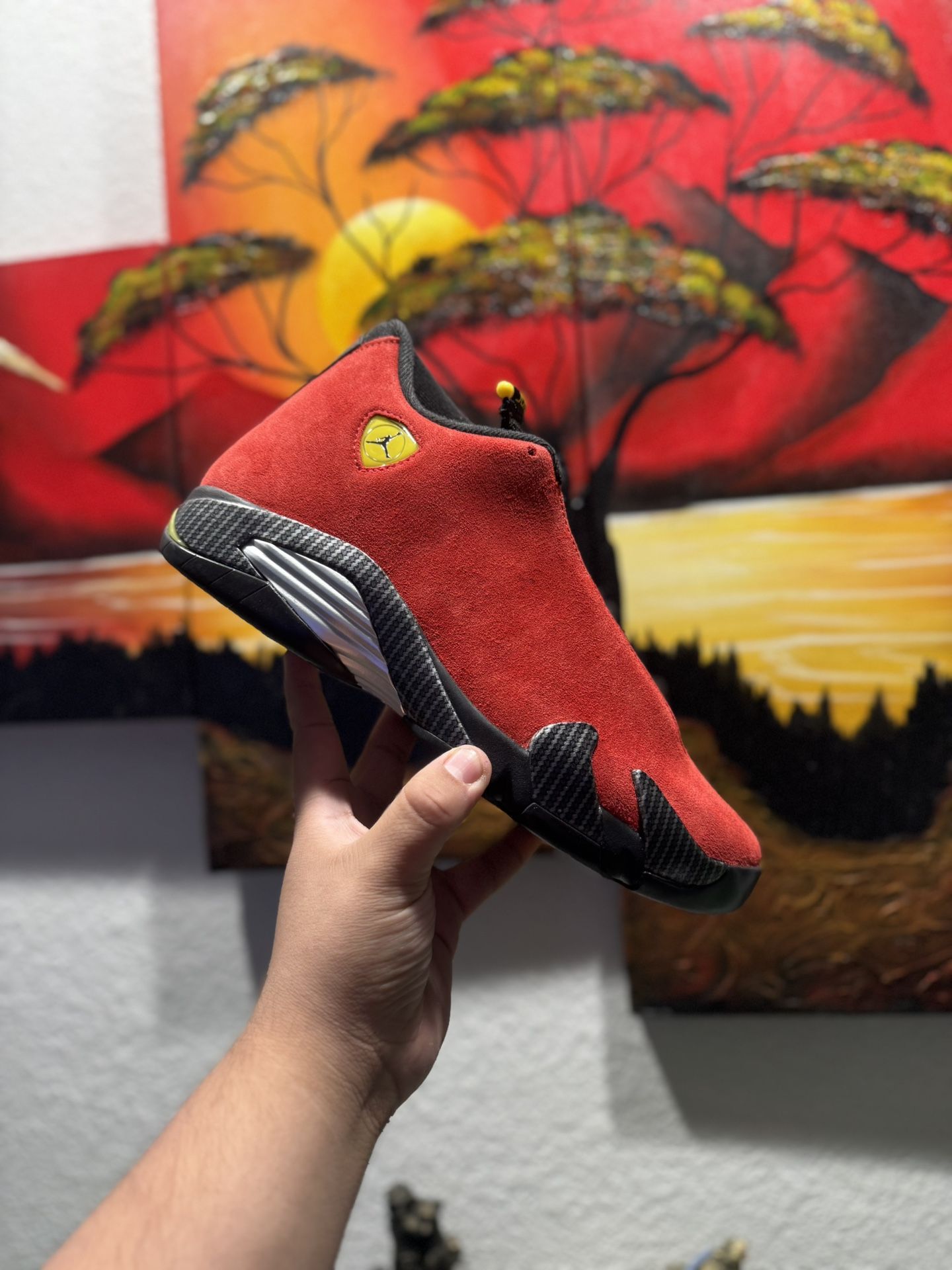 Jordan 14 Ferrari Size 9