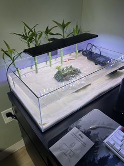 UNS 60S 10 Gallon Shallow Fish Tank W/ Light, Filter, Heater