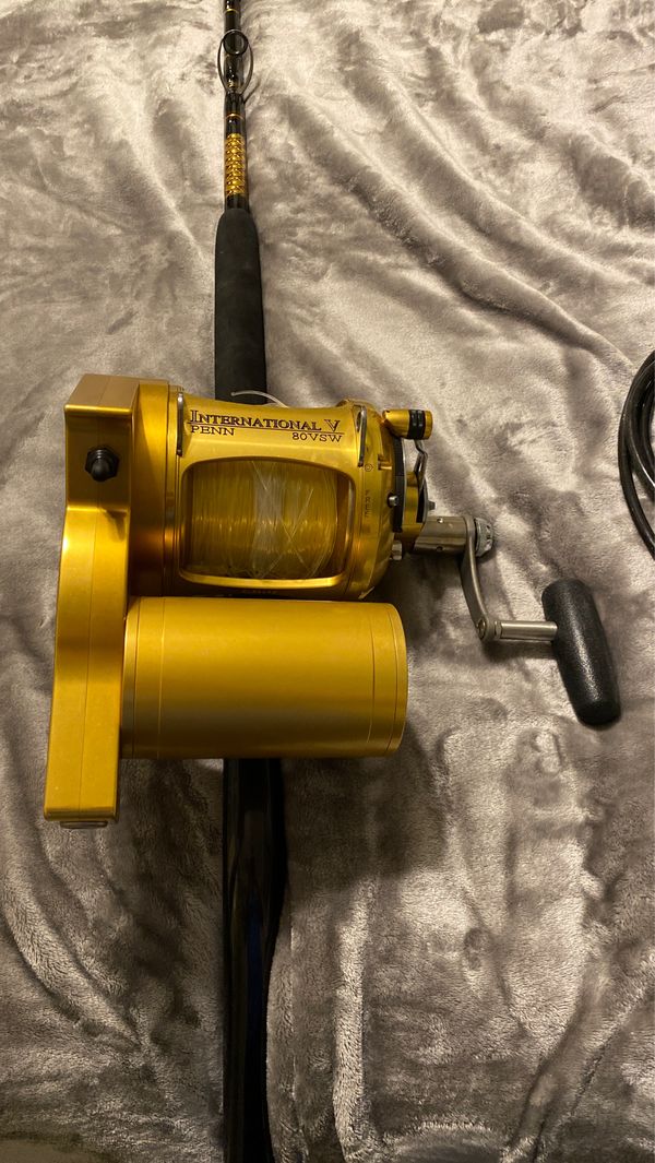 Dolphin electric reel (penn international 80w) on seeker custom