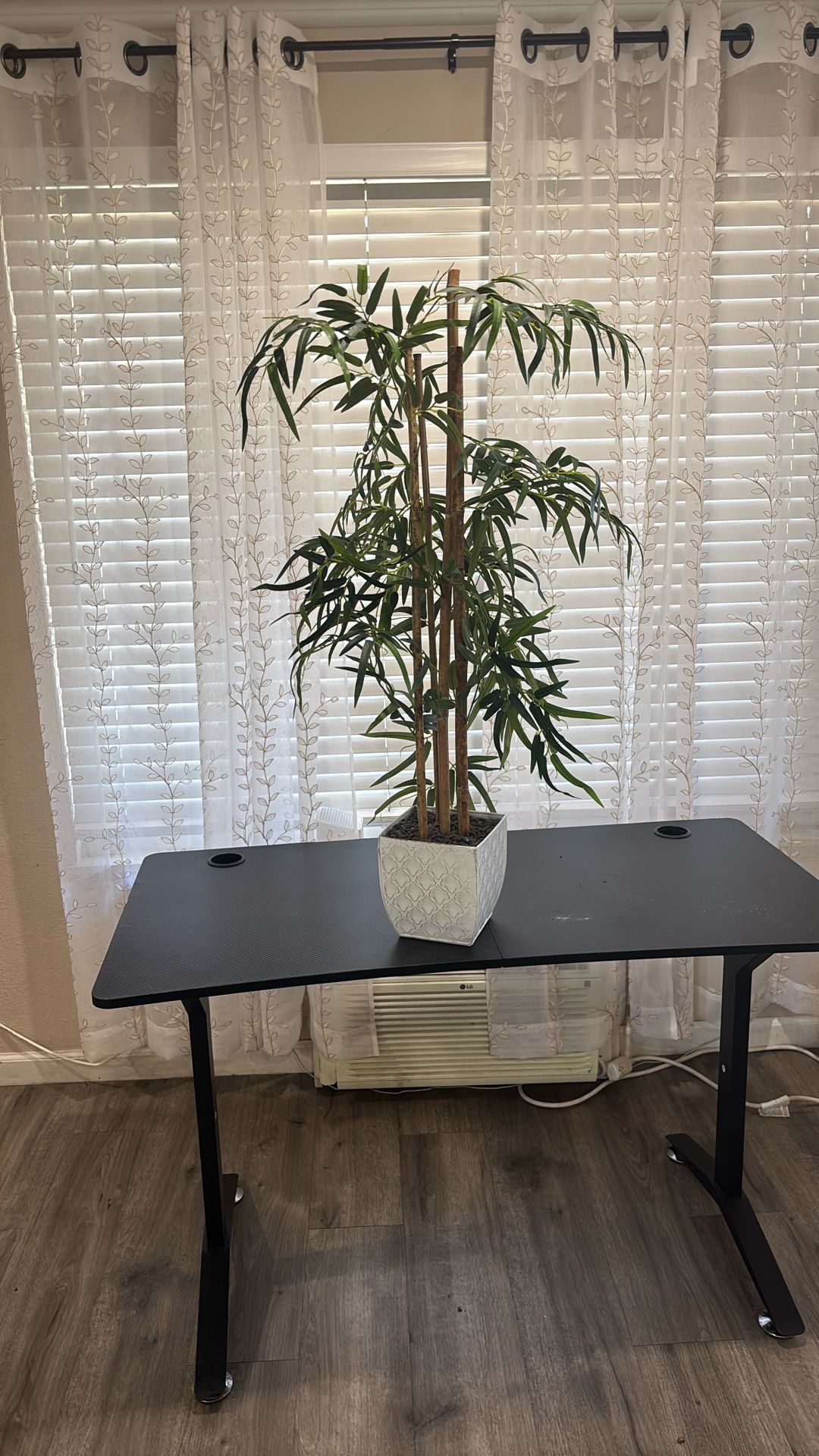 41” Tall Bamboo Plant