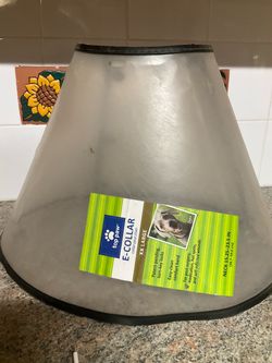E collar