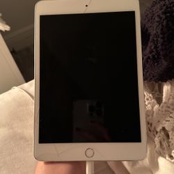iPad 2 Mini 
