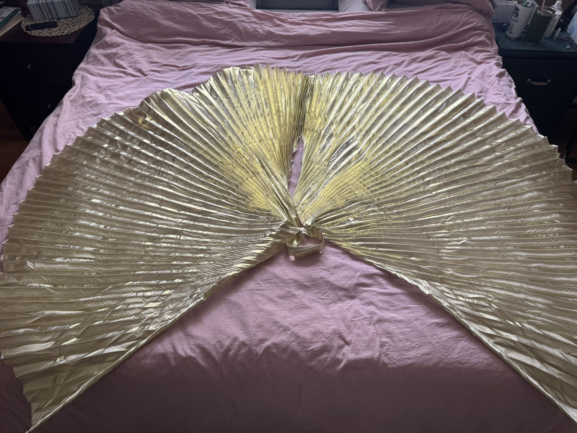 Dressup Golden Wings
