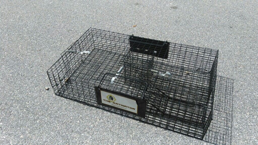 Ratinator Multi Catch Live Rat Trap