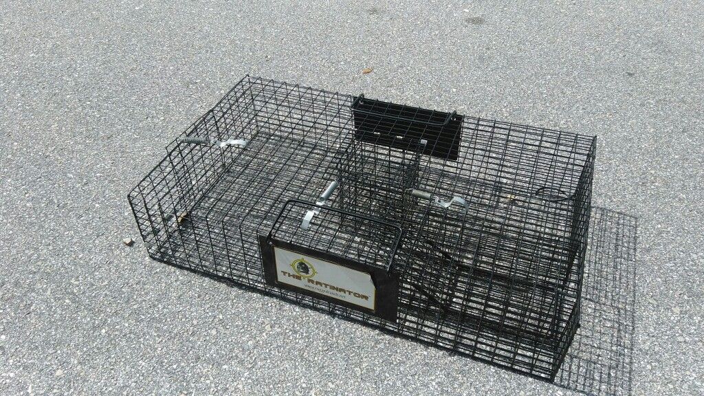 Ratinator Multi Catch Live Rat Trap for Sale in Palm Beach Shores, FL -  OfferUp