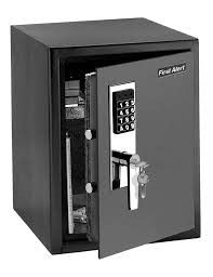 First Alert 2077DF Anti-Theft Digital