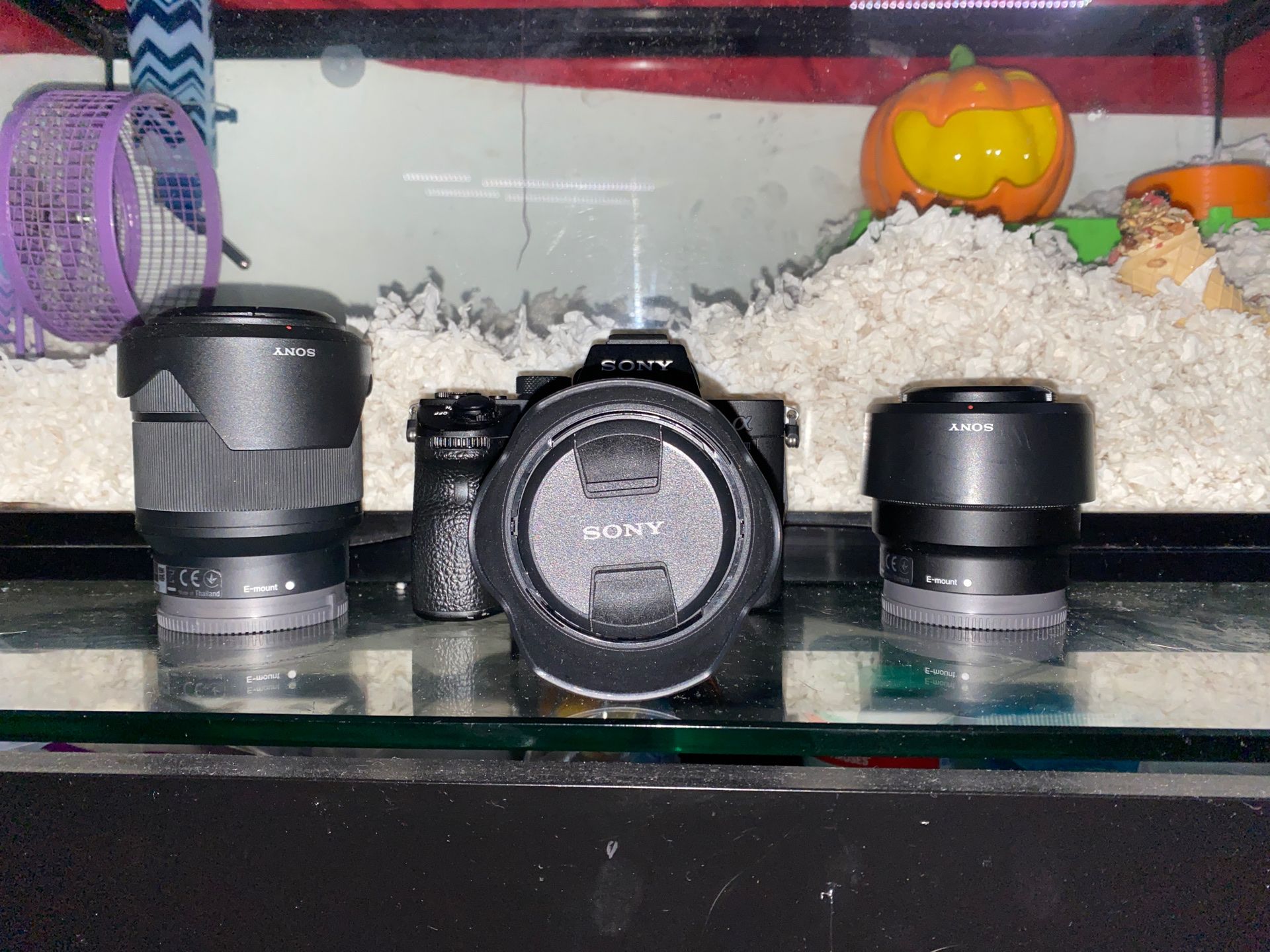 Sony A7III Body + 3 Lenses For Sale!!!