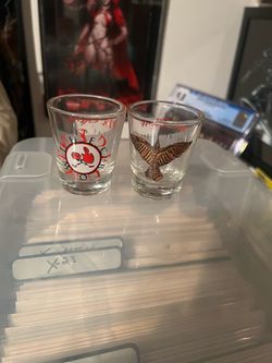 Set of 2 Graphic movie prop Shot Glasses The Crow