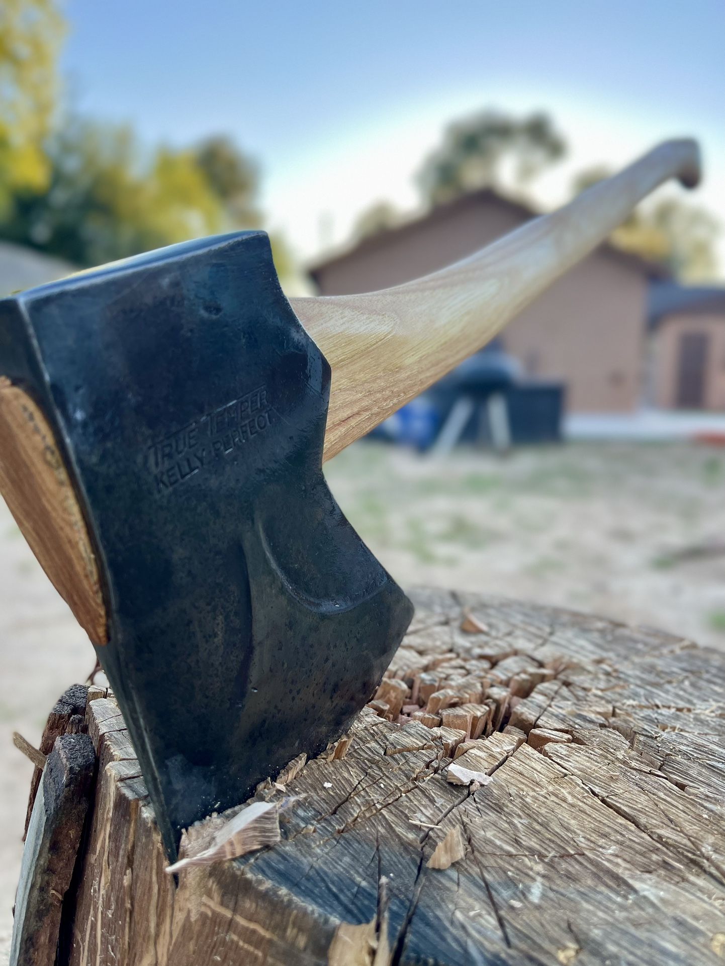 Vintage True Temper Kelly Perfect Single Bit Axe head