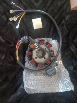 8 Coil Stator  And Pick Up Trigger For Chinese Quad Or Dirtbkie