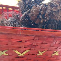 Canasta De Piñas/ Basket With  Pinecones