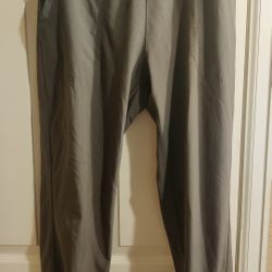 Woman's Size Small Patagonia Pants