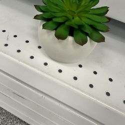 Decorative Plant