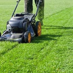 Lawn Mower & Weed Eat