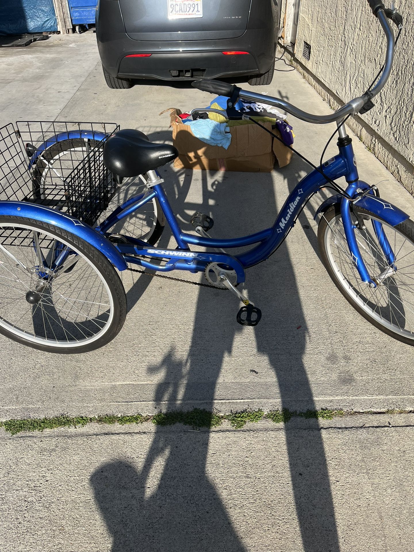 The Blue Schwinn Trike