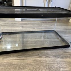 40 Gallon Reptile/Fish Tank