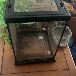Reptile / Spider Terrarium 