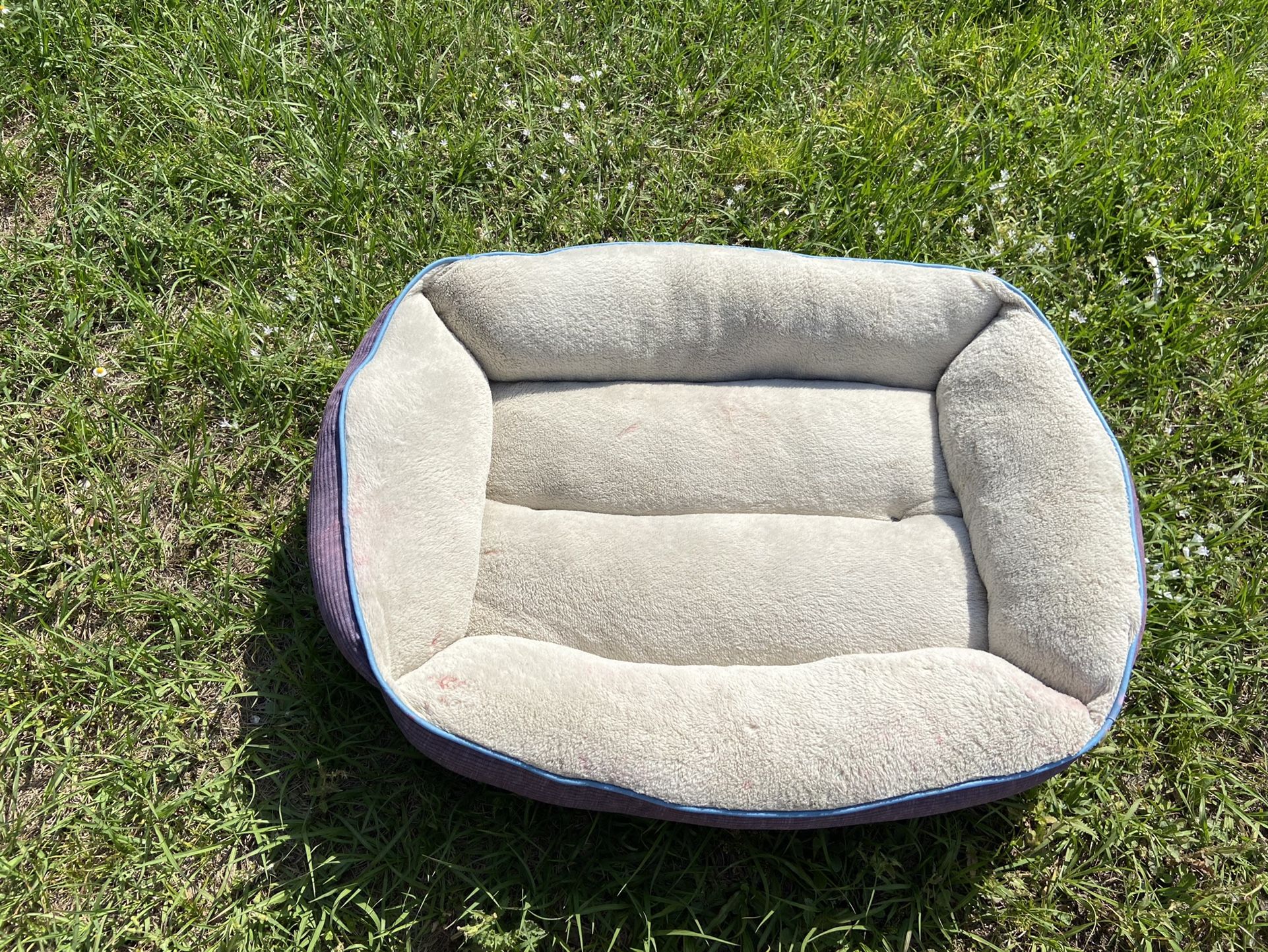 33x27β Large Dog Bed Floor Pets