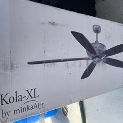 Outdoor Ceiling Fan