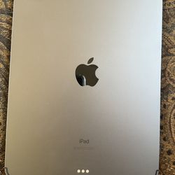 Unlocked Apple iPad Pro 11 inch 256 Gray with Wifi + Cellular