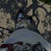Jordan L