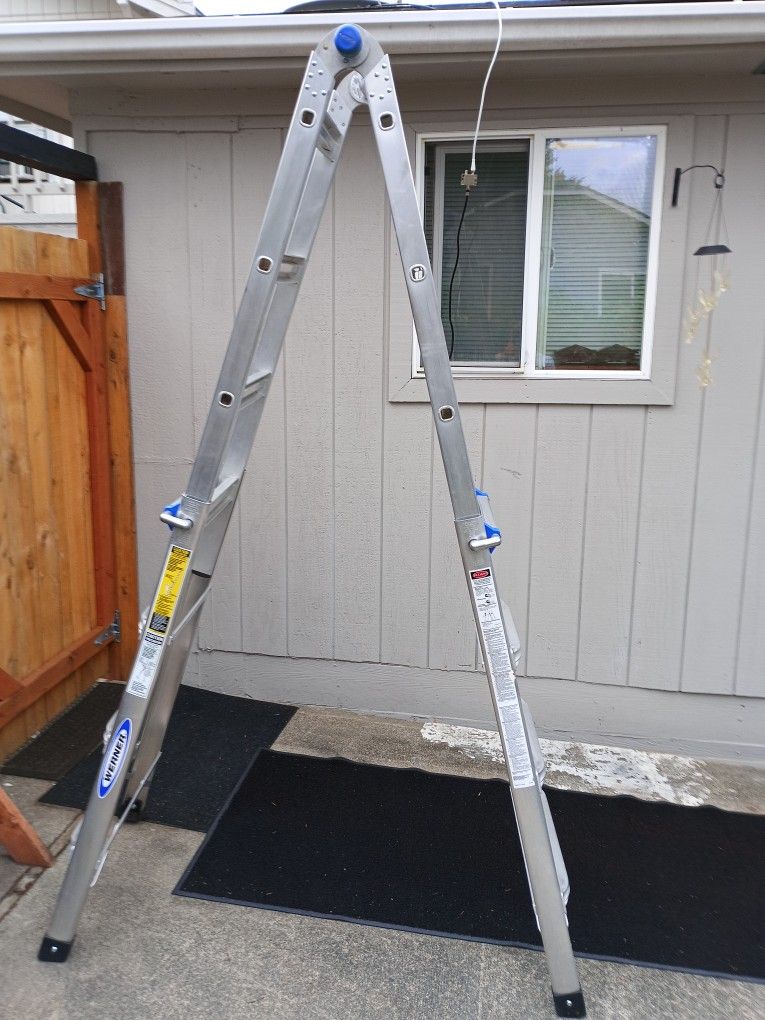 Werner Ladder 17' $ 100