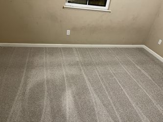 New Carpet