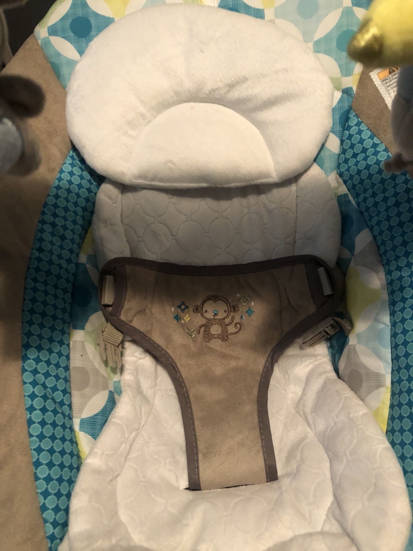 Ingenuity Smart Bouncer
