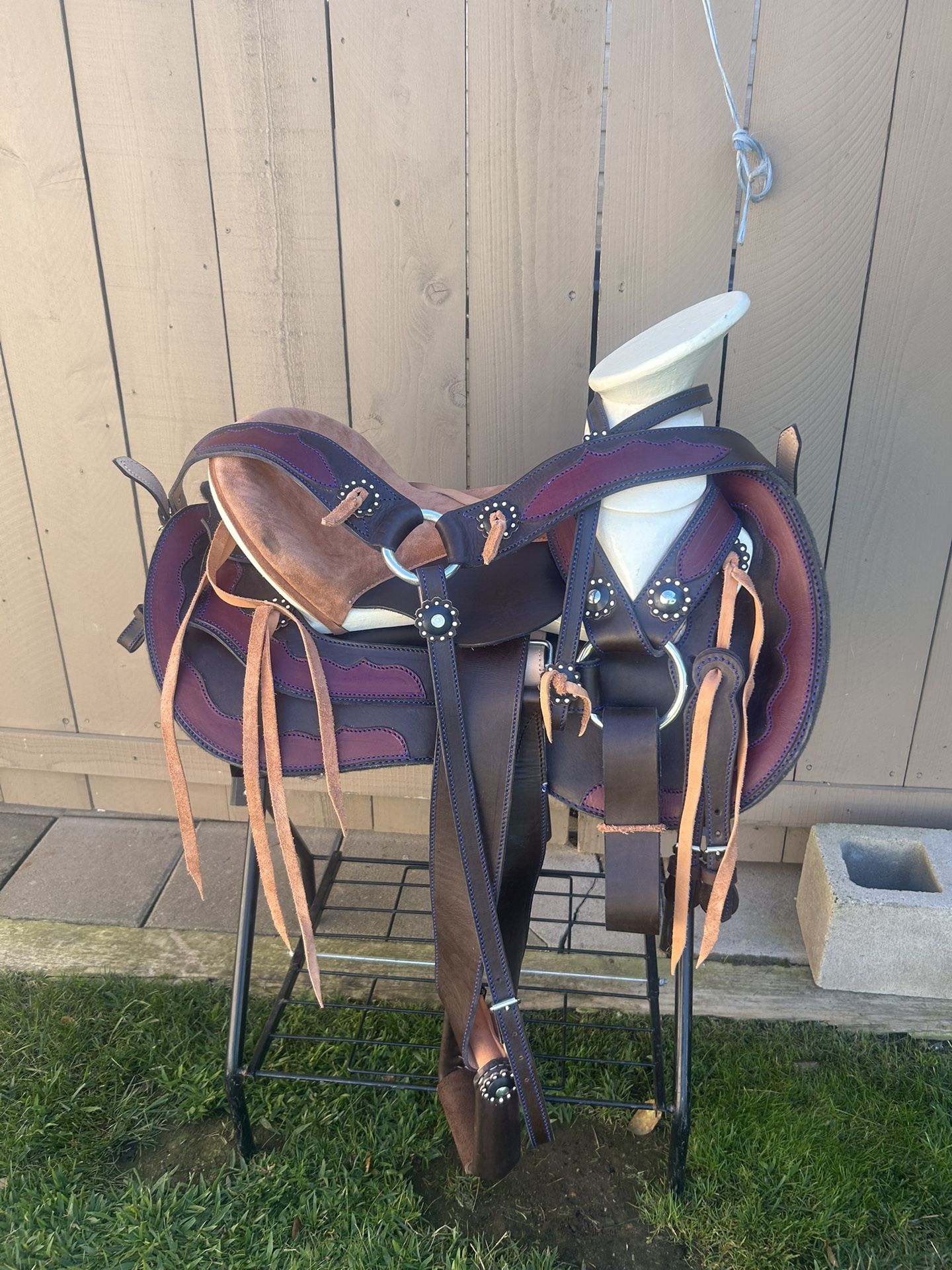 Saddle, Montura