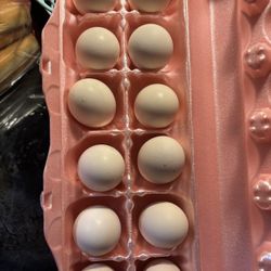 Silkie Hatching Eggs Fertile