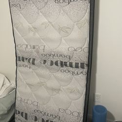 Twin Mattress.  Delivery Available 