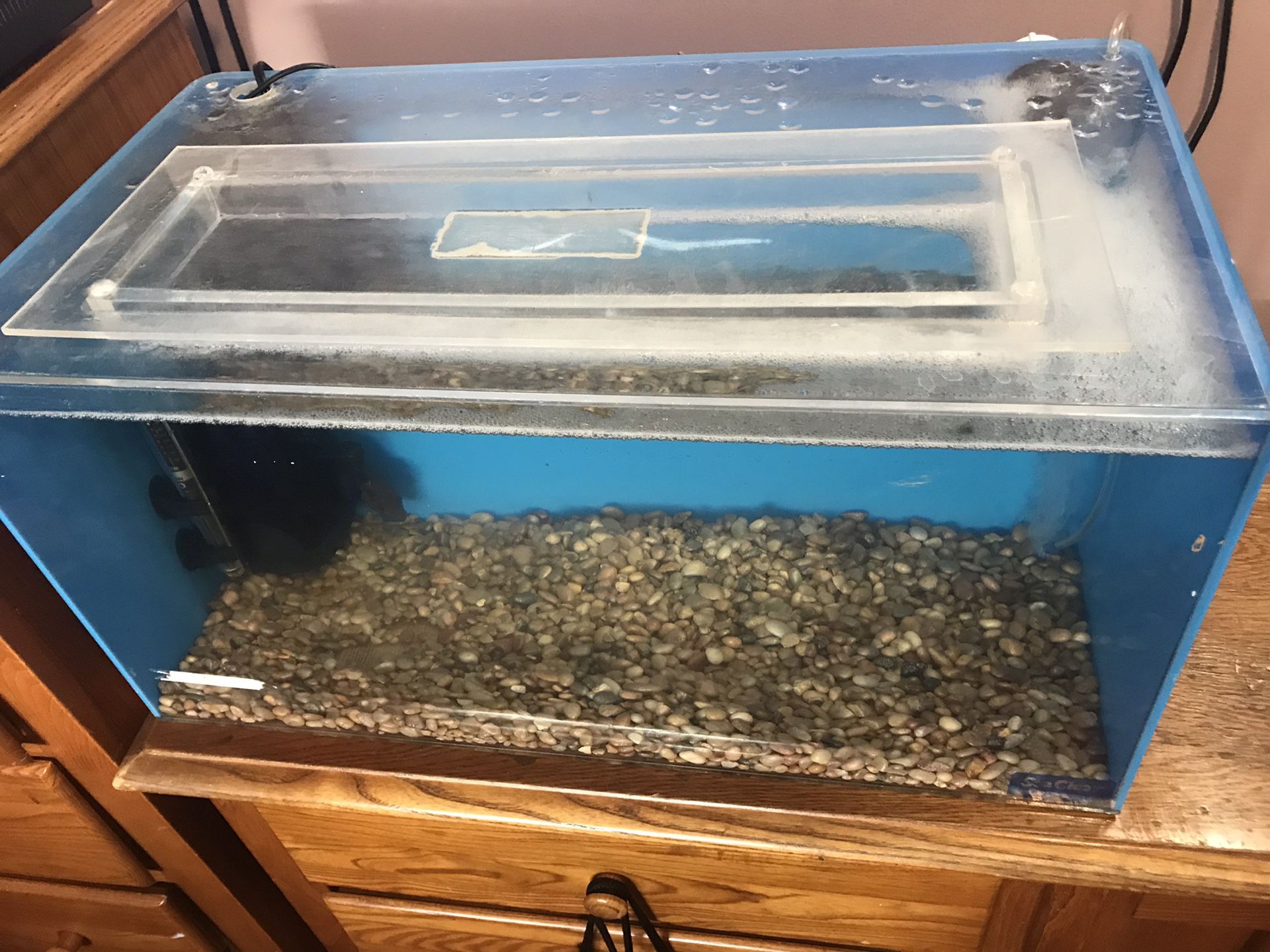 15-gallon fish tank