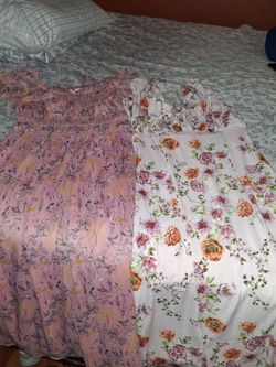 Dresses pink