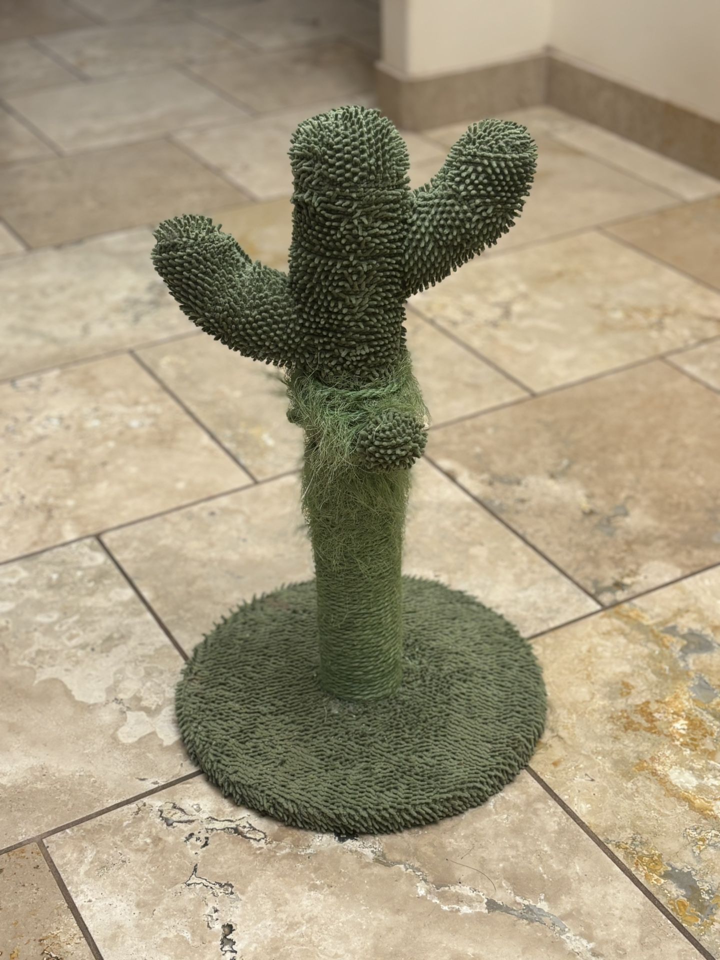 Cactus Cat Scratching Post!