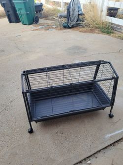 Small animal cage