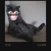mr m