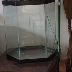 20 Gallon Fish Tank/aquarium 