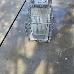 Animal Trap