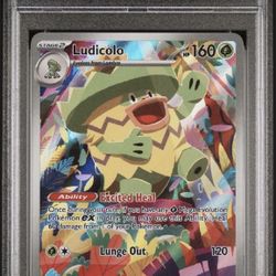 2025 POKEMON PFL EN-PHANTASMAL FLAMES ILLUSTRATION RARE #095 LUDICOLO PSA 8