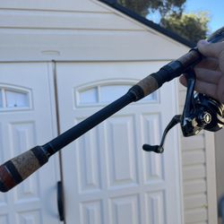 Phenix spinning rod