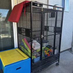 Bird Cage
