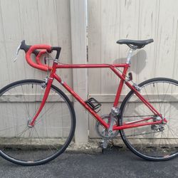 Nashbar Road LP Bike