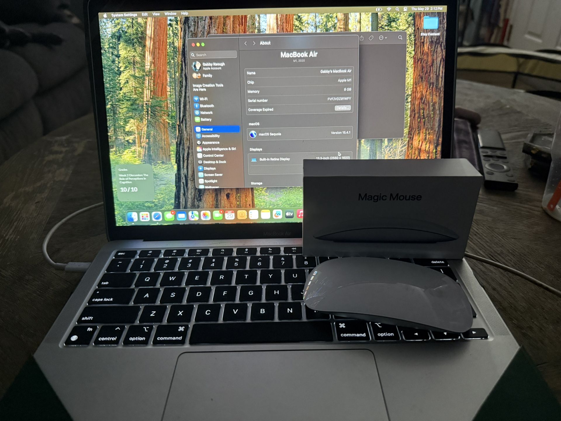 MacBook Air/Accessories