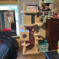 cat tower