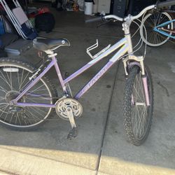 Giant Girls Mountain Bike
