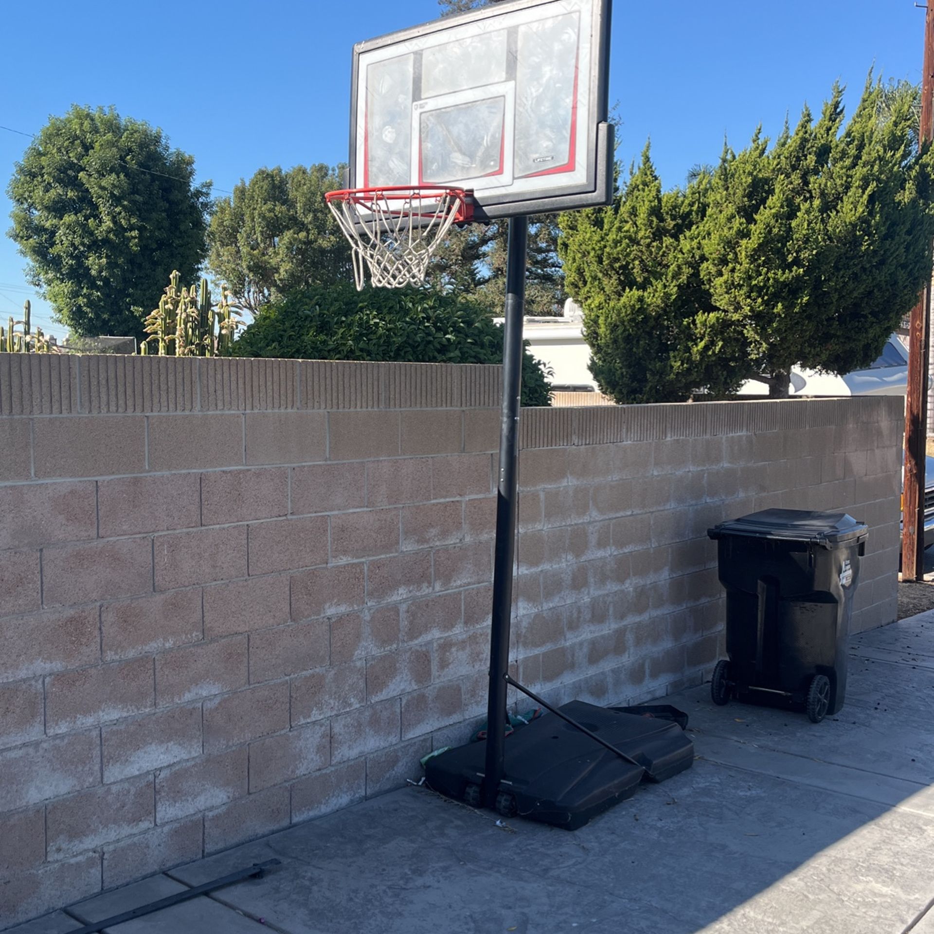 Basketball 