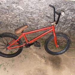 100 Each  FIT Or Cult Take Your Pick???