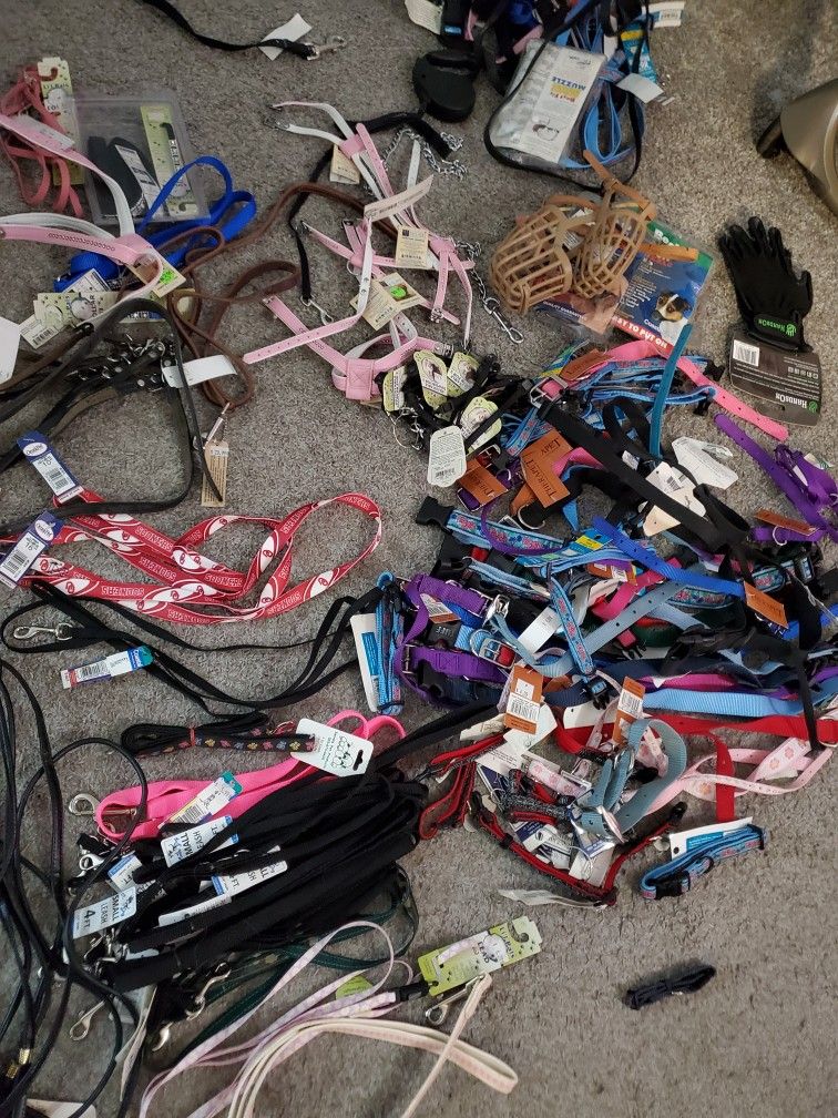 2000$ Worth Of Dog Leashes Collars Outfits Harnesses Etc For 600$