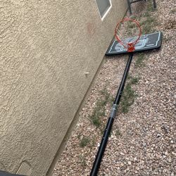 Lifetime Basketball Hoop