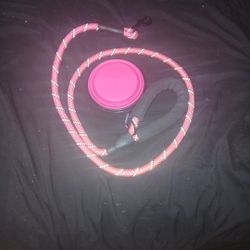 Dog Leash With Frisbee